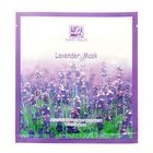 Dainty - Lavender Mask