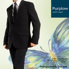 Purplow - Narrow Lapel Business Suit