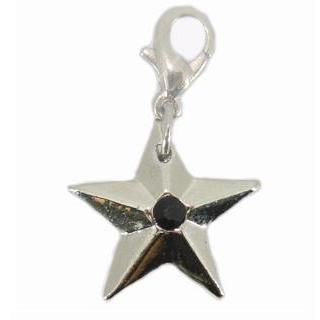 Silver Star Charm