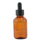Academie - Essential Toning Body 1550