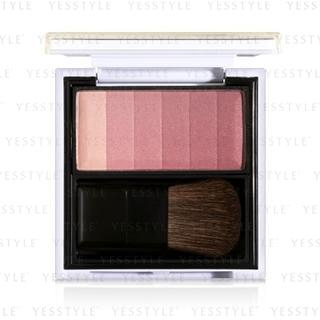 Professional Selection - Blusher (#01 Pink Gradation)