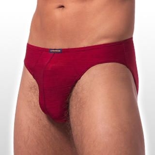 Briefs