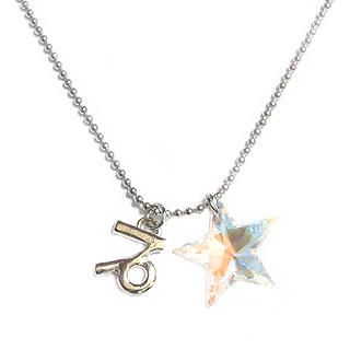 'Starry Capricorn' - Zodiac Sign Necklace with Swarovski Sparkling Crystal Star