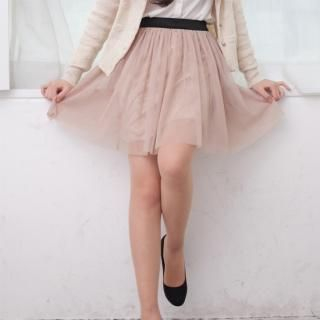 Elasticized Waist Chiffon Skirt