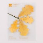 iswas - Leaf Sticky Note
