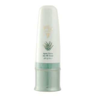 Agave Cactus Sun BB Cream SPF 36 PA+++ (#2 Natural Beige)