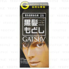 Mandom - Gatsby Hair Color Remake