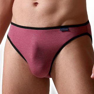 Briefs