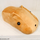 iswas - 'Kapibara-san' Doll (M)