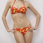 NEWS - V Front Bandeau