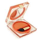 Estee Lauder - Pure Color Eye Shadow - 34 Pumpkin 