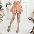 Stylewardrobe - High-Waist A-Line Miniskirt