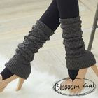 Blossom Gal - Leg Warmer