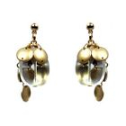 Truffles - Transparent Earrings