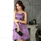 JK2 - Corsage Cummerbund Party Dress