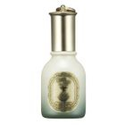 Skinfood - Agave Cactus Serum