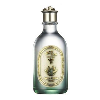 Agave Cactus Toner Agave Cactus Toner