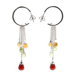 Colourful Cascade Earrings Colourful Cascade Earrings