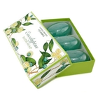 Caswell Massey - Eucalyptus Bath Soap Trio