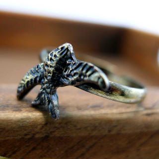 Bird Ring Bird Ring