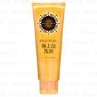 Shiseido - Aqualabel Cleansing Foam EX