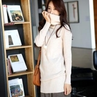 STYLEKELLY - Turtleneck Knit Dress