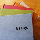 iswas - 'Essay' Print Diary