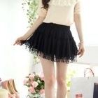 Tokyo Fashion - Mesh A-Line Skirt