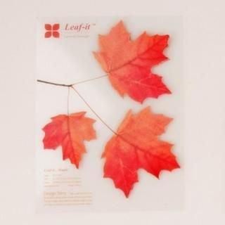 Maple Leaf Sticky Note Maple Leaf Sticky Note