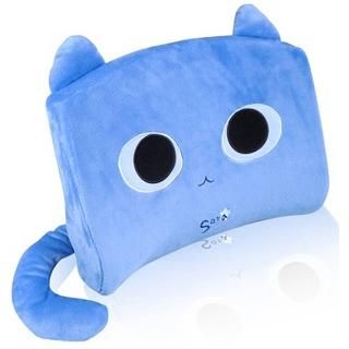 Cat Cushion