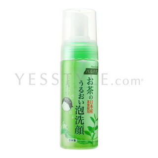 Green Tea Brightening Cleansing Mousse Green Tea Brightening Cleansing Mousse