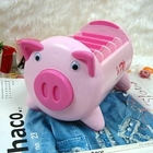 Na Na - Pig Storage Box