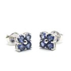 Bellini - Iolite Navigator Earrings