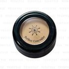 Missha - The Style Perfect Concealer (Light Beige)
