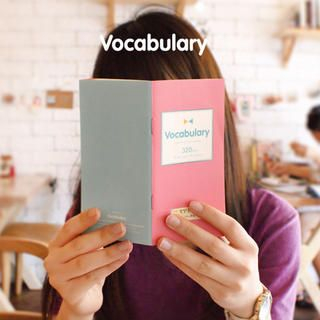 Vocabulary Pocket Notebook Vocabulary Pocket Notebook
