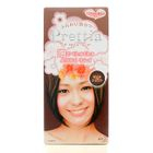 Kao - Prettia Soft Bubble Hair Color