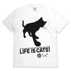 SCOPY - [Unisex] Short-Sleeve Print T-Shirt - CAT'S SERVANT
