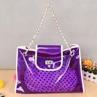 Smoothie - Transparent Shoulder Bag with Inner Bag
