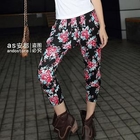 Ando Store - Floral Cropped Harem Pants