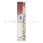 Kanebo - Media Shiny Essence Lip (RS-04)