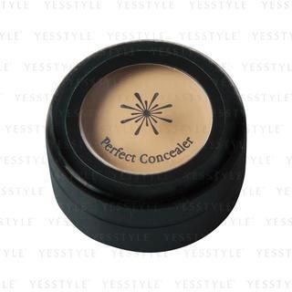 The Style Perfect Concealer (Natural Beige) The Style Perfect Concealer (Natural Beige)