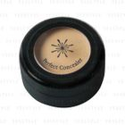 Missha - The Style Perfect Concealer (Natural Beige)