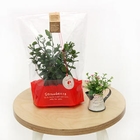 iswas - Plastic Snack Bag (Large)