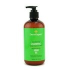 DermOrganic - Argan Oil Sulfate-Free and Color-Safe Conditioning Shampoo DermOrganic - Argan Oil Sulfate-Free and Color-Safe Conditioning Shampoo