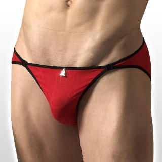 Briefs