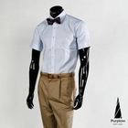 Purplow - Stripe Short-Sleeve Dress Shirt